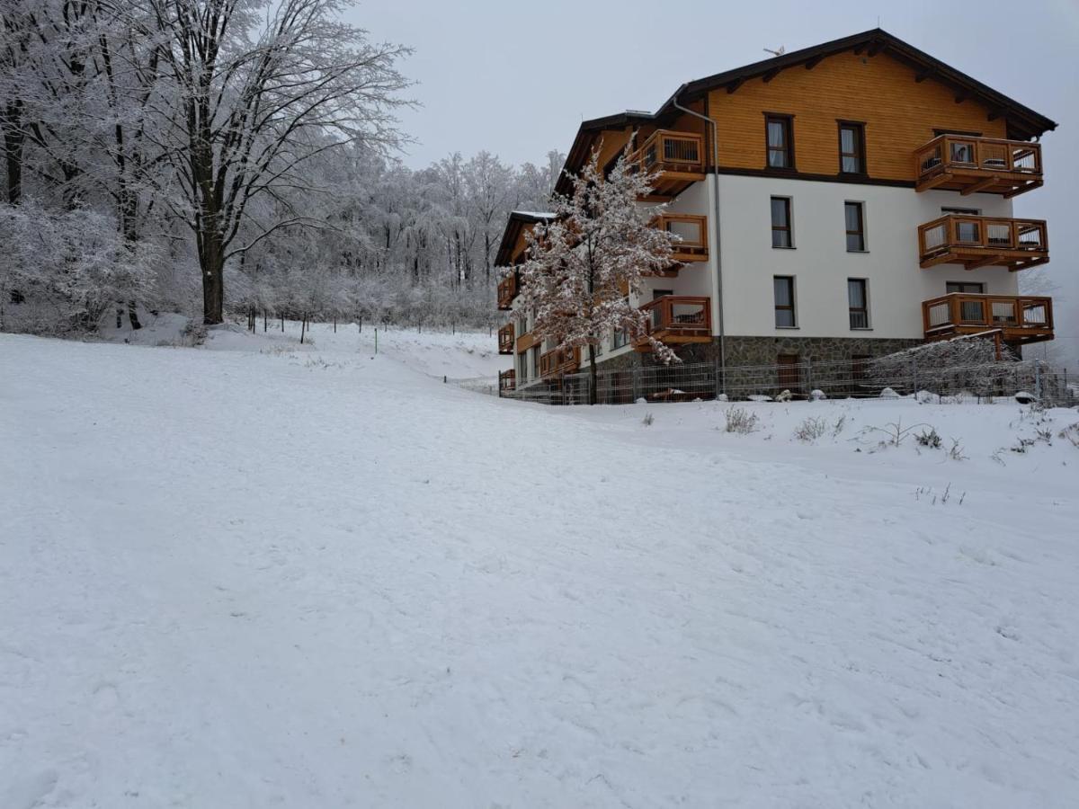 Apartament Zaciszny Szklarska Poręba Zewnętrze zdjęcie